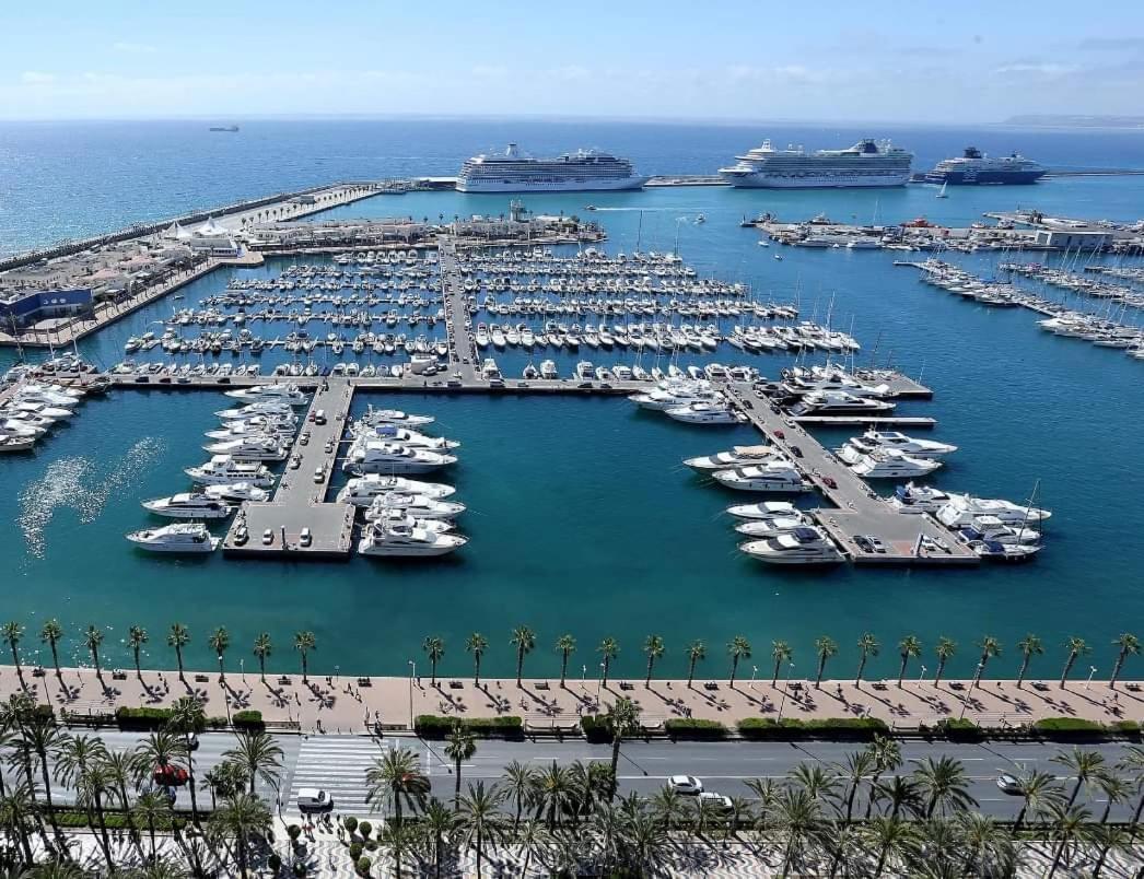Charming Apartment In Alicante Near The Sea & City Center Dış mekan fotoğraf