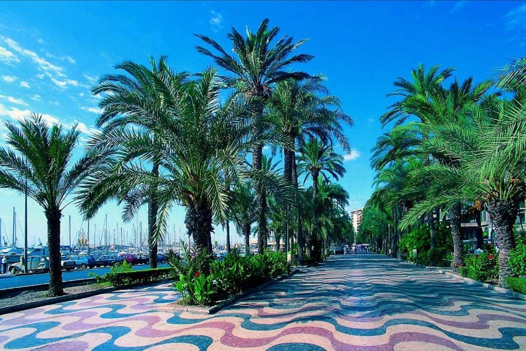 Charming Apartment In Alicante Near The Sea & City Center Dış mekan fotoğraf
